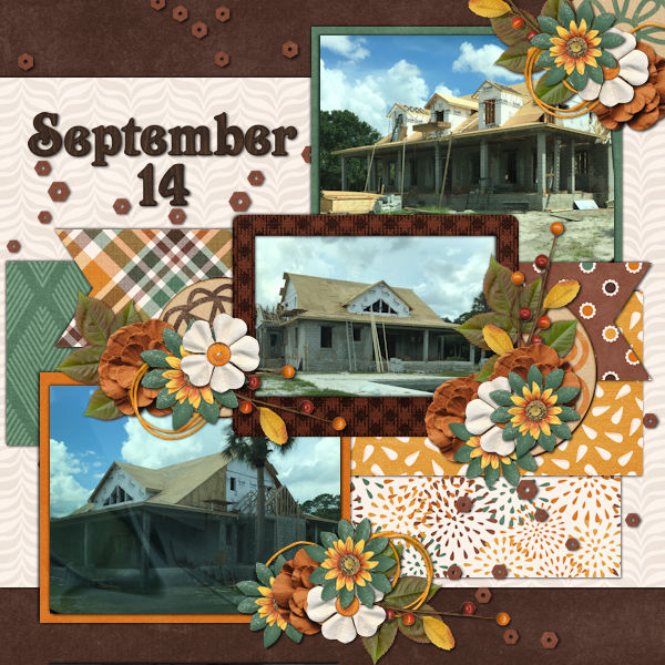 House Progress