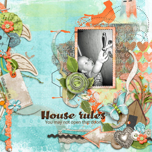 House-rules1