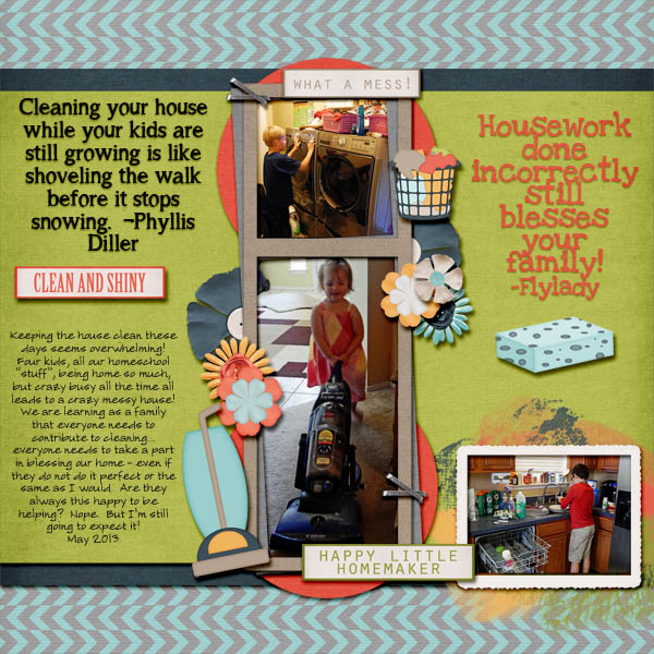HouseCleaning0513