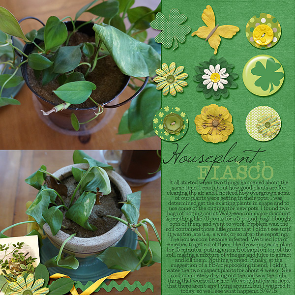 Houseplant Fiasco