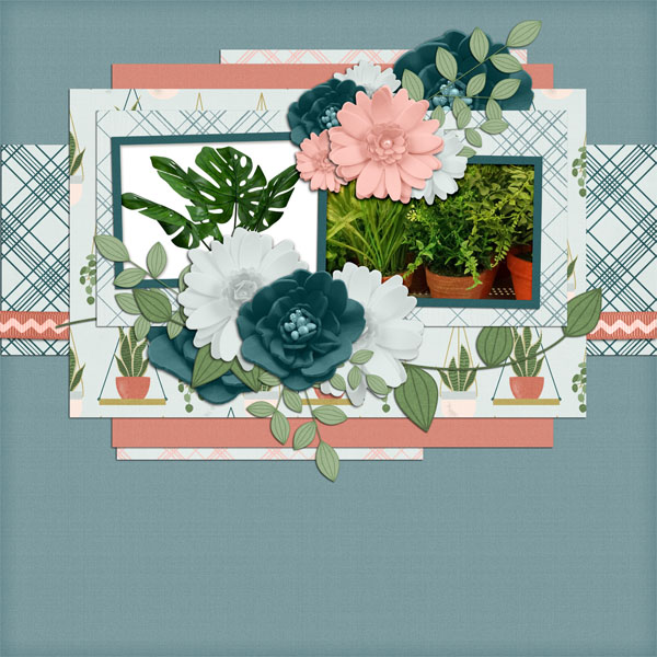 Houseplant Heaven QP