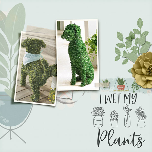 Houseplant Heaven