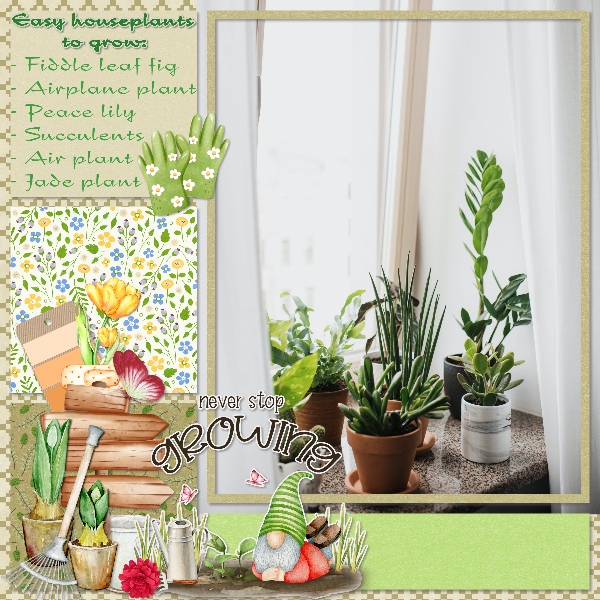 Houseplants
