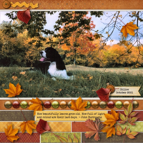How Beautifully Leaves...