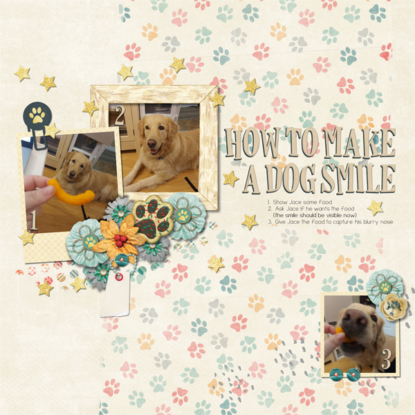 How to Make a Dog Smile