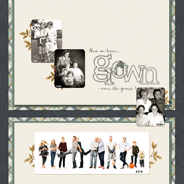 How we have Grown