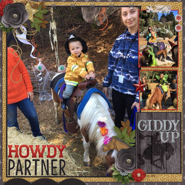 Howdy Partner
