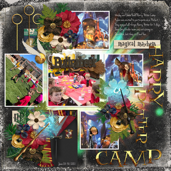 HP Camp