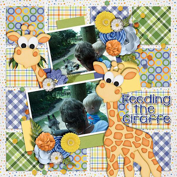 hs-feeding-giraffe