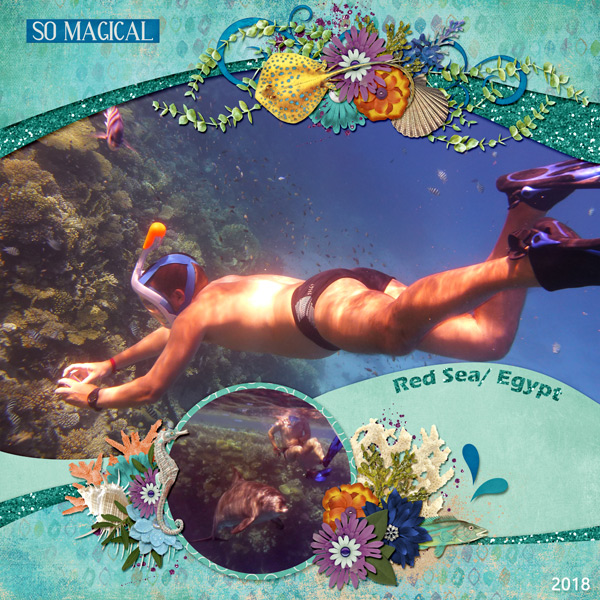 hubby and the many sea wonders