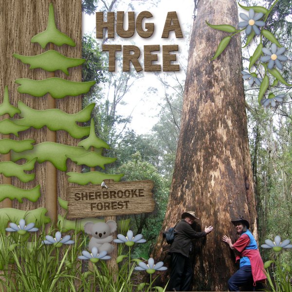 Hug a Tree