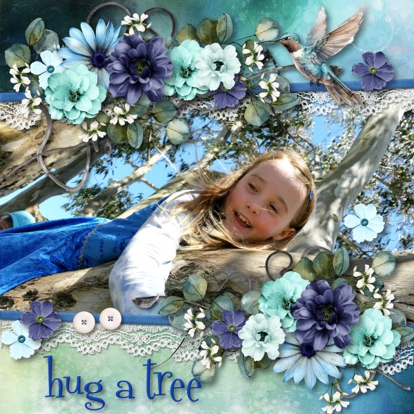 hug a tree