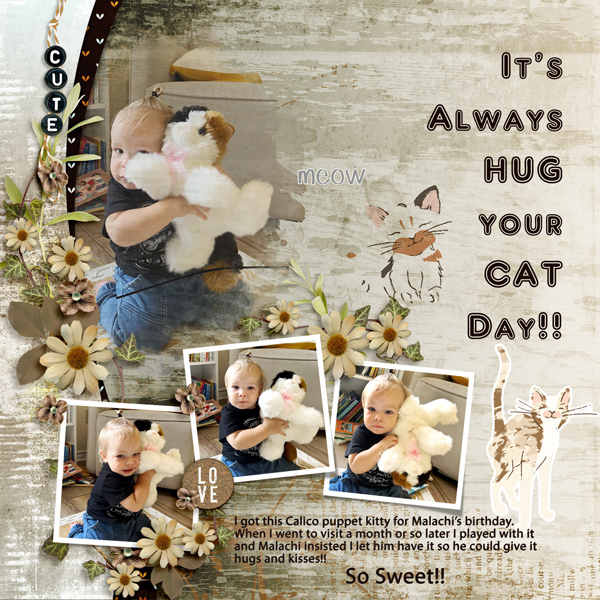 Hug Your Cat Day