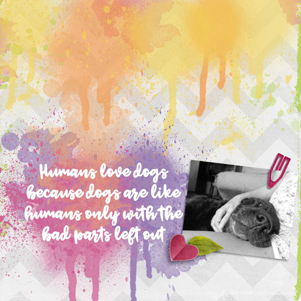 Humans love dogs