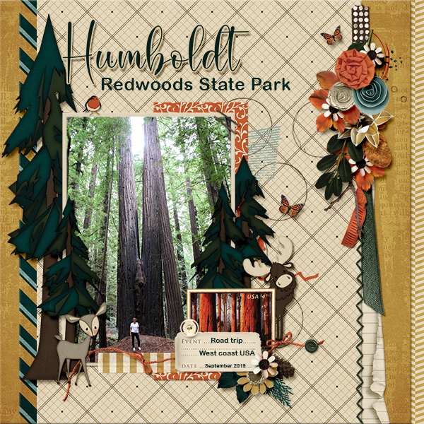 Humboldt Redwood State Park