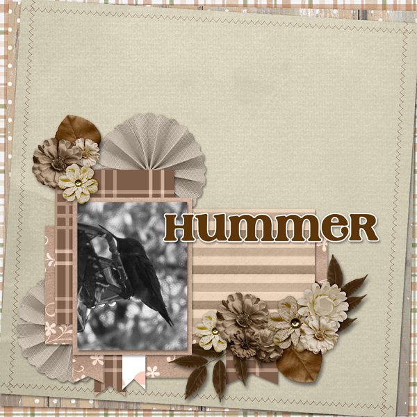Hummer