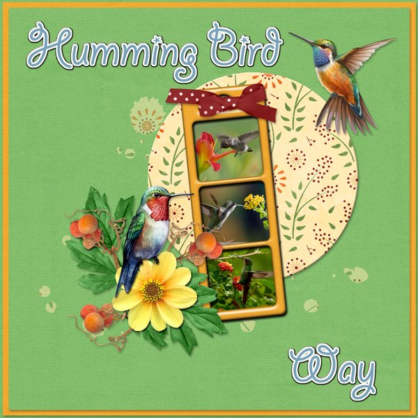Humming Bird Way
