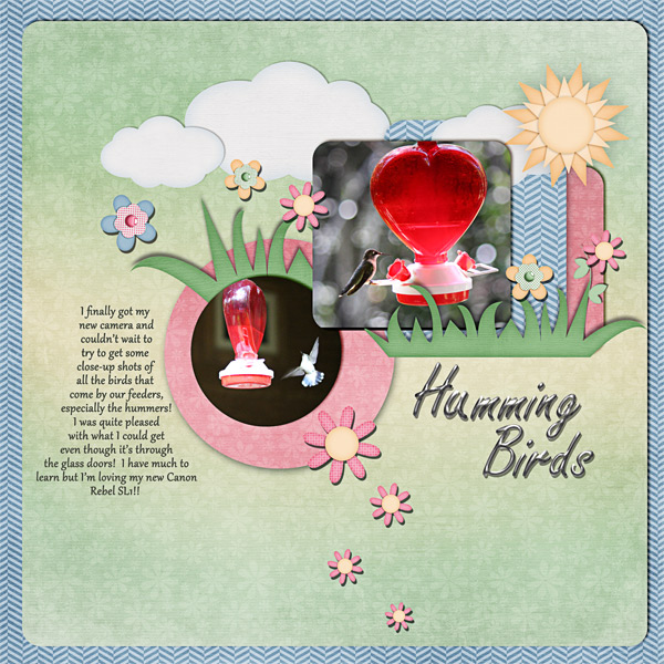 Humming Birds