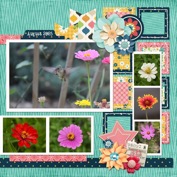 Hummingbird and flowers