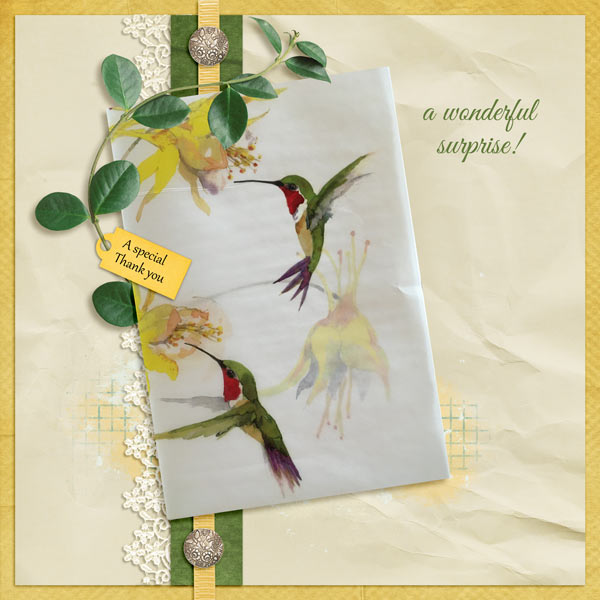 Hummingbird card