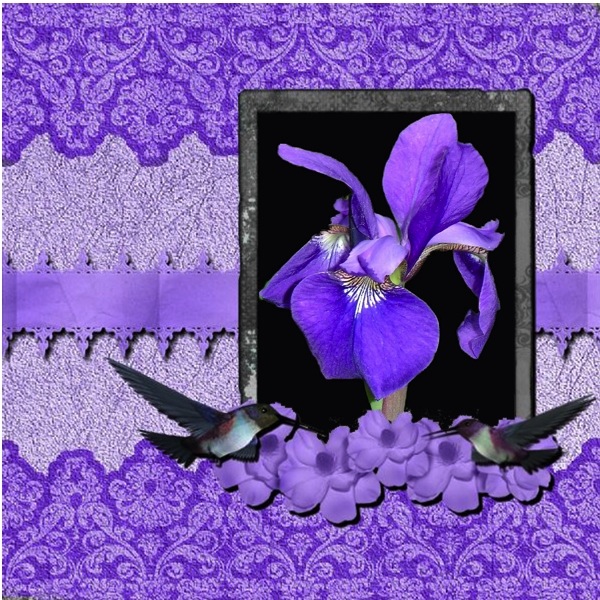 Hummingbird Quick Page
