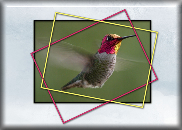 Hummingbird