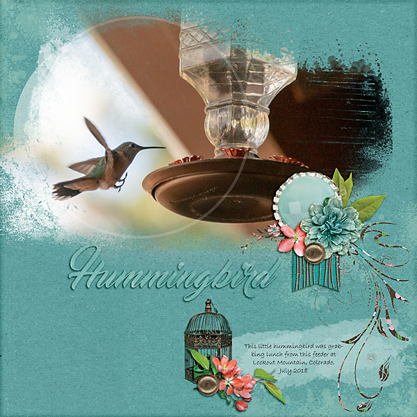 Hummingbird