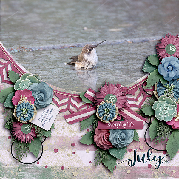 hummingbird