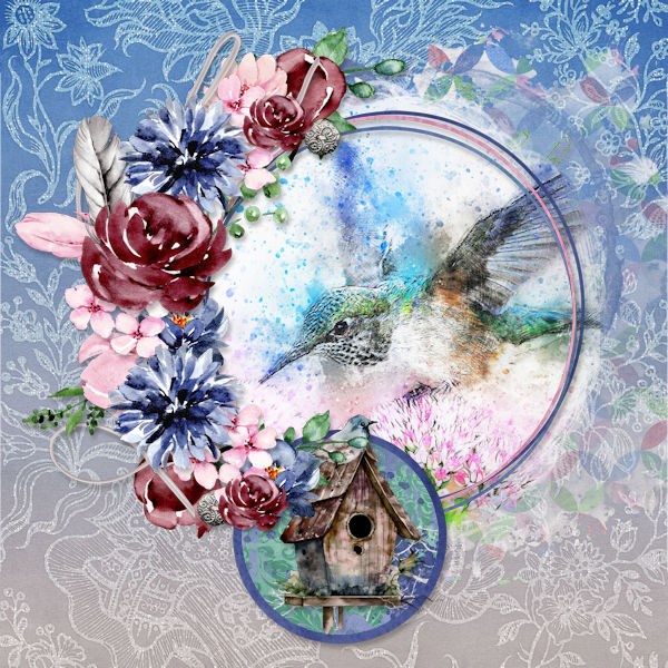 Hummingbird