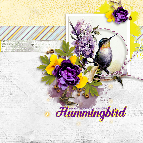 Hummingbird