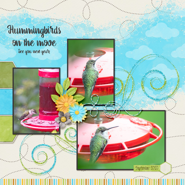 Hummingbirds on the Move