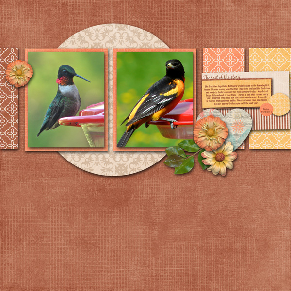 Hummingbirds????