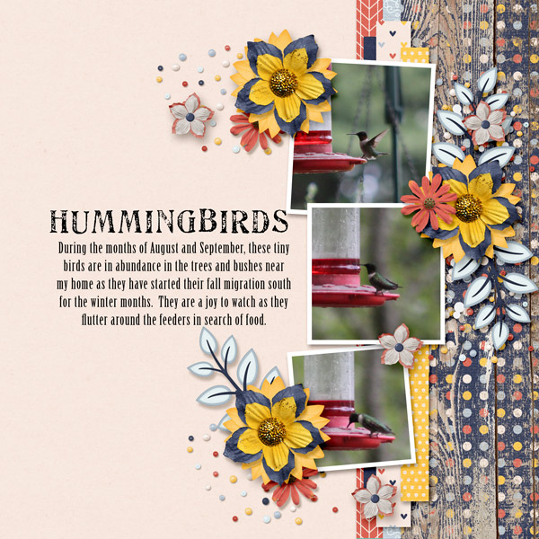 Hummingbirds