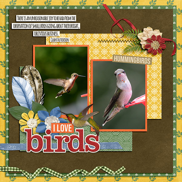 Hummingbirds