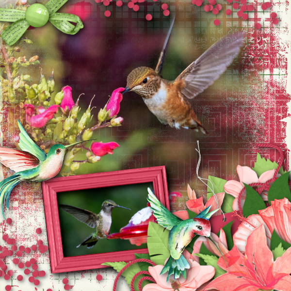 Hummingbirds