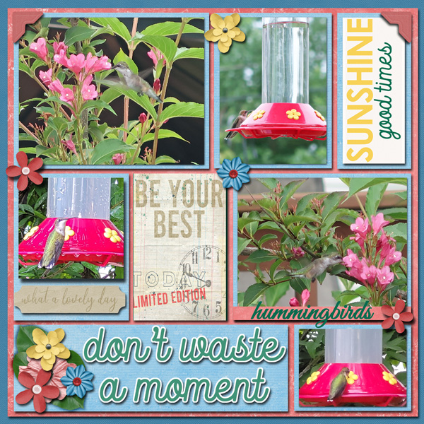 Hummingbirds
