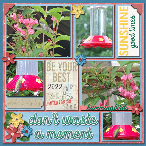Hummingbirds