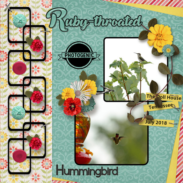Hummingbrird