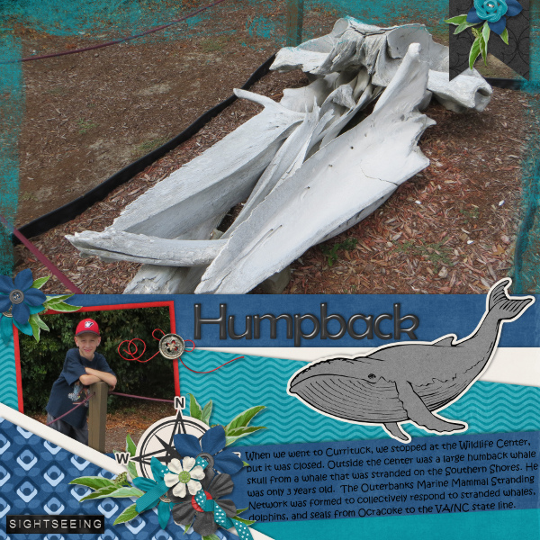 Humpback
