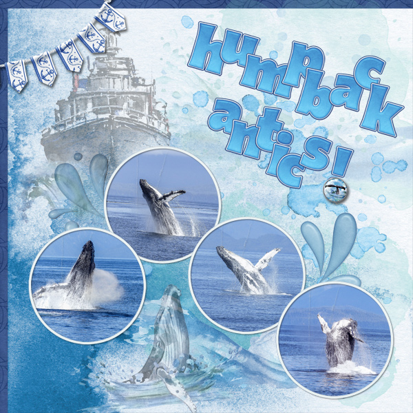 Humpback