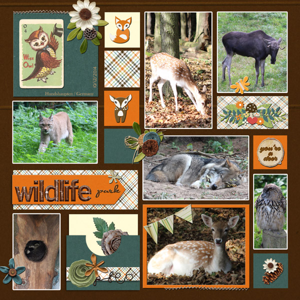 Hundshaupten 2014