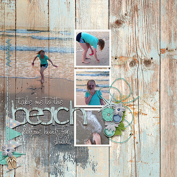 Hunt for Shells