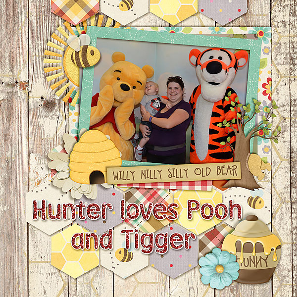 hunter-winnie-the-pooh