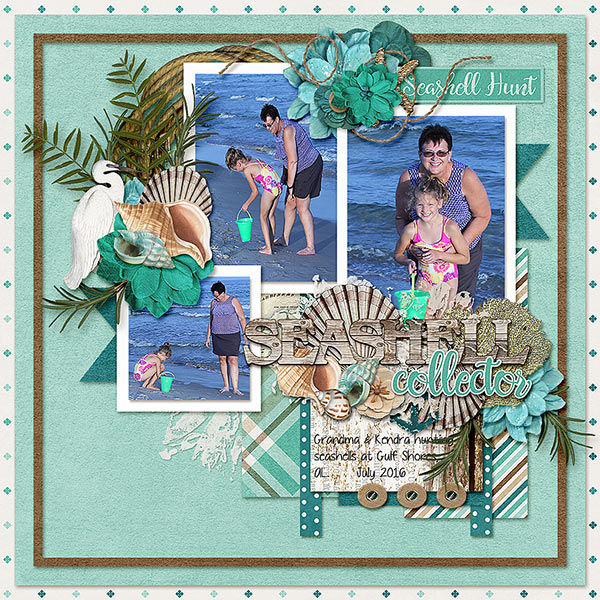 Hunting Seashells