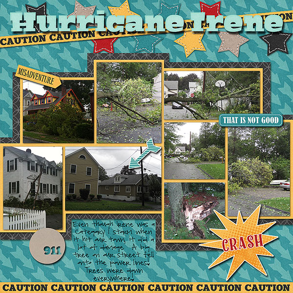 Hurricane Irene