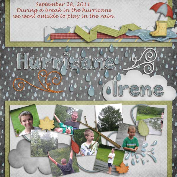 Hurricane Irene