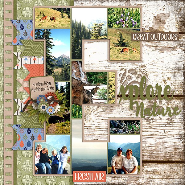 Hurricane-Ridge-web.jpg