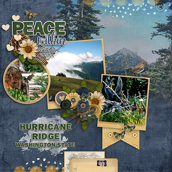 Hurricane Ridge