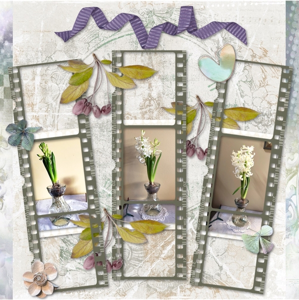 Hyacinth