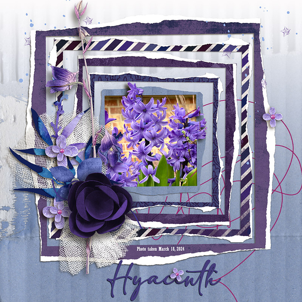 Hyacinth